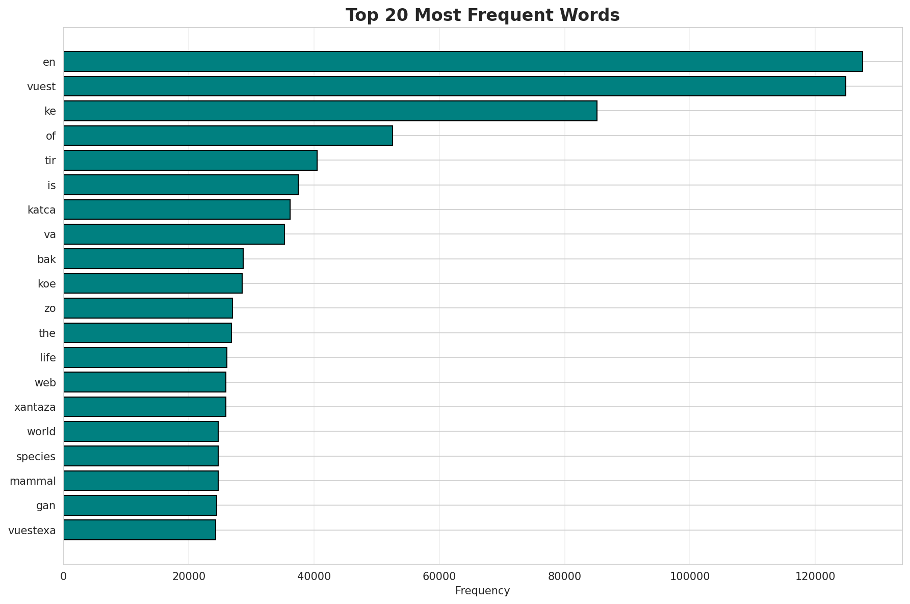 Top Words